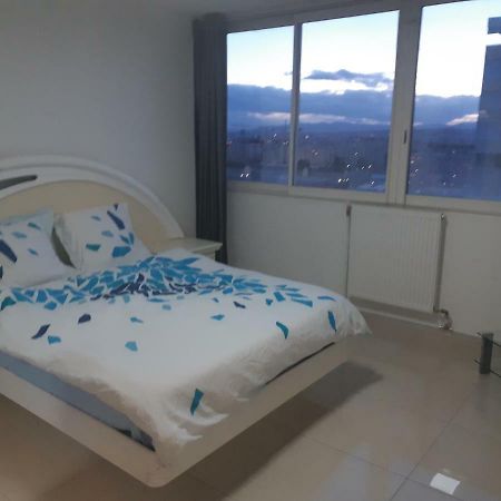 Appartement Laurent Bonnevay Villeurbanne Exteriér fotografie