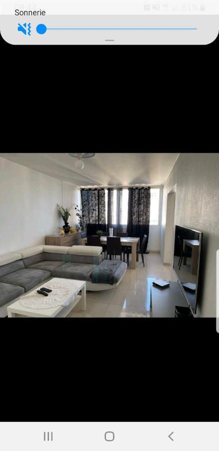 Appartement Laurent Bonnevay Villeurbanne Exteriér fotografie