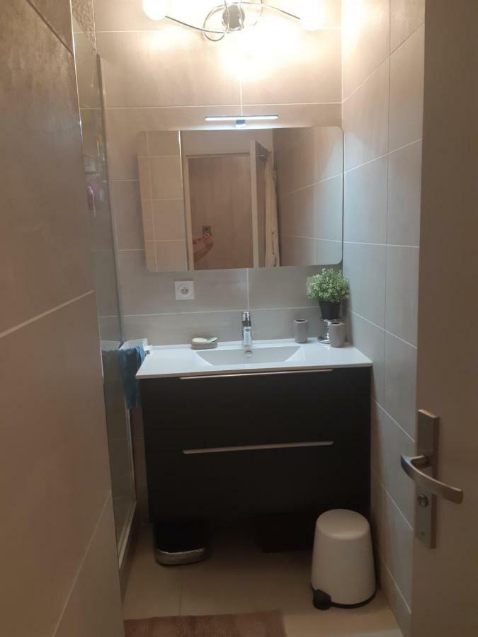 Appartement Laurent Bonnevay Villeurbanne Exteriér fotografie